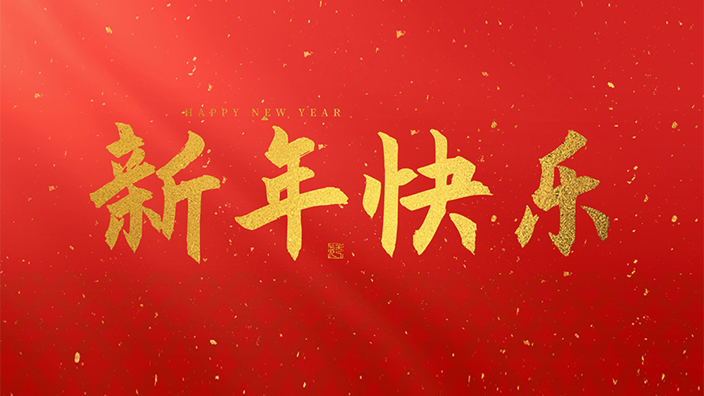 麗水市威儀自動(dòng)化技術(shù)有限公司祝全國(guó)人民2025新年快樂！